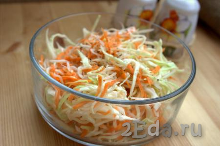 В глубокой миске соединить капусту, морковь и лук, посолить, немного поперчить и тщательно перемешать.