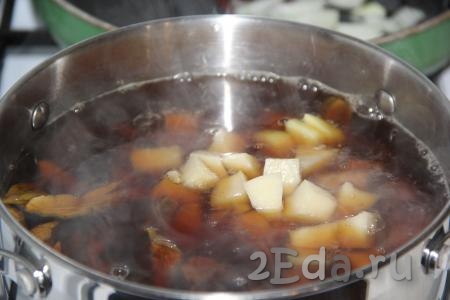 В кастрюлю с грибами выложить нарезанный картофель и варить на небольшом огне 15 минут.