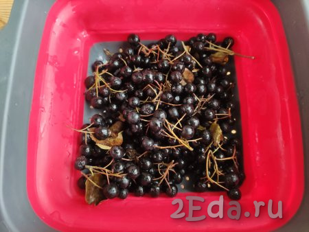 Ягоды черноплодной рябины выложить в дуршлаг, промыть в проточной воде. Удалить веточки, листья и повреждённые ягодки.