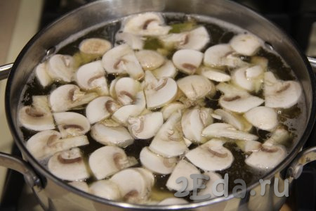 После того как гречневый суп проварится 10 минут с момента закипания, добавляем в него грибы, даём закипеть и варим на небольшом огне 7 минут.