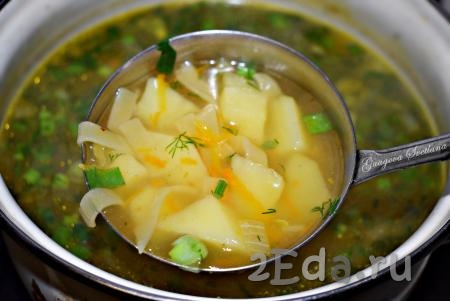 Куриный суп с лапшой и картофелем