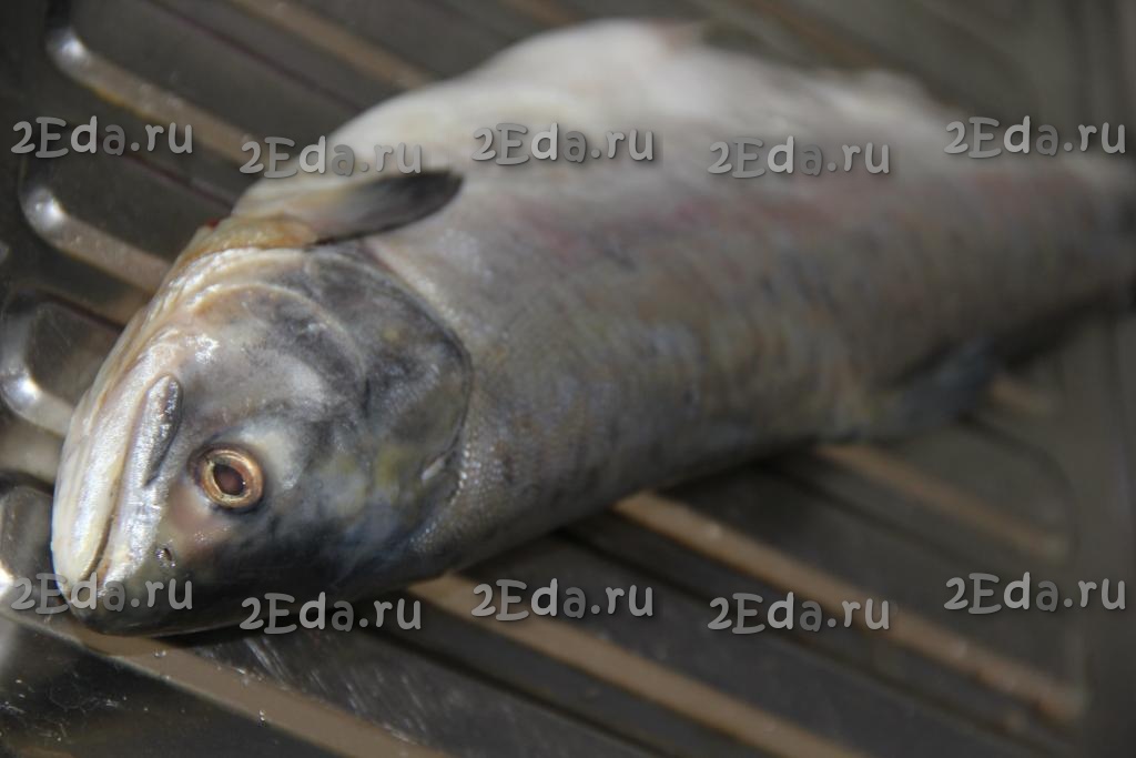 Рыба Горбуша Духовка Фото