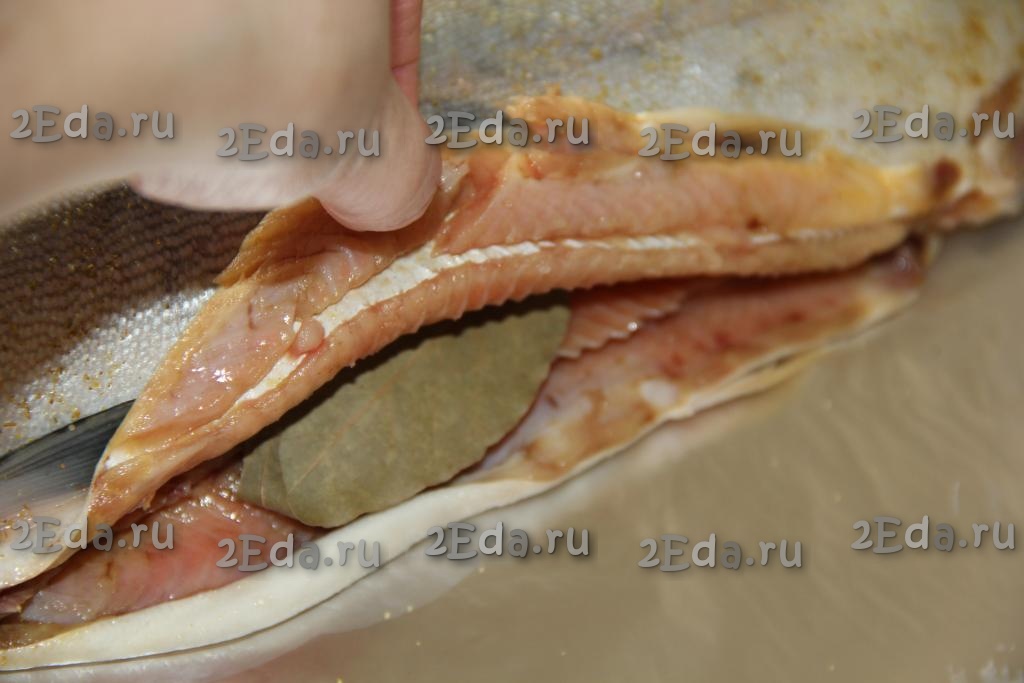 Горбуша фото - Горбуша: фото и описание рыбы, где обитает, образ жизни, способы ловли. sushi-edut.ru