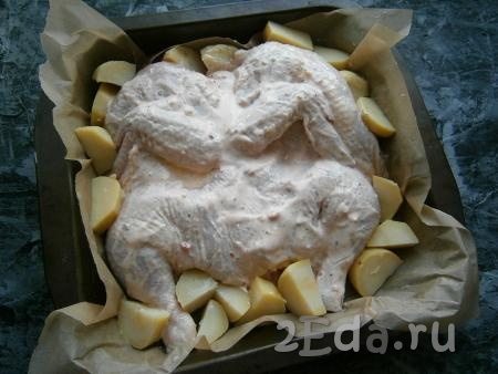 Картофель очистить от кожуры, нарезать на части и выложить его вокруг цыпленка. Немного смазать картофель тем же соусом. Курицу и картошку немного полить растительным маслом.