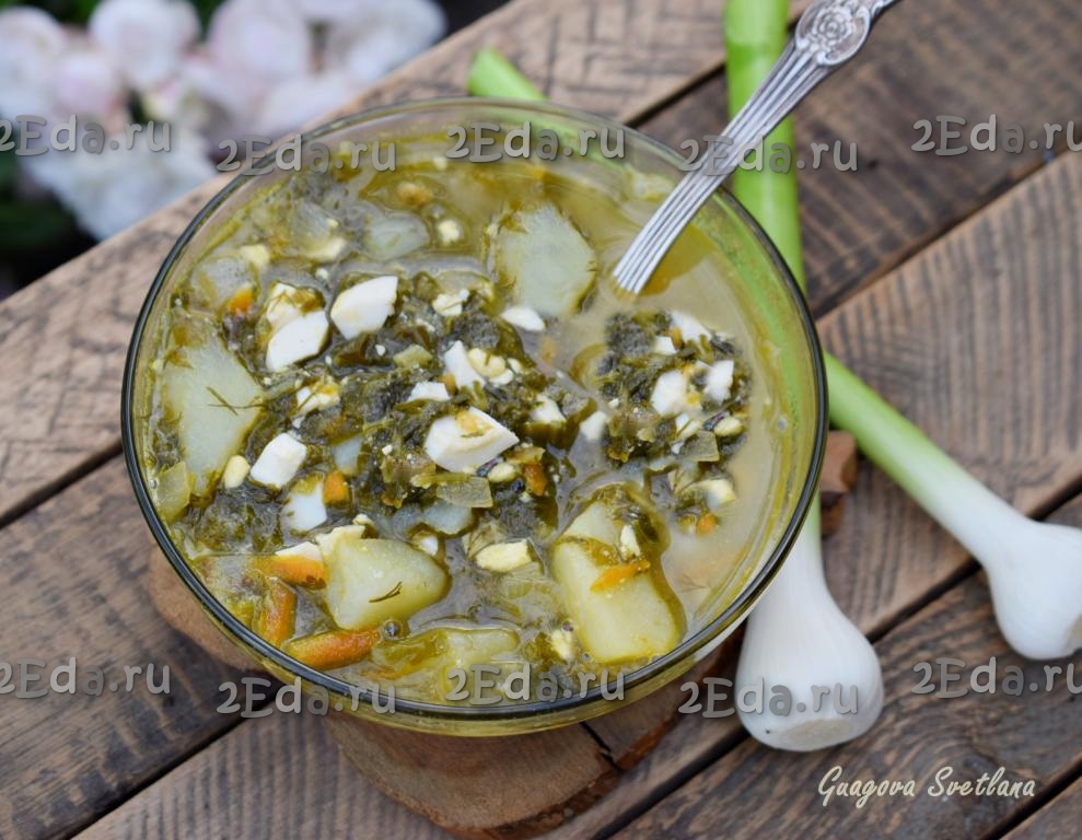 Суп из щавеля без мяса и яиц - вегетарианский рецепт с фото