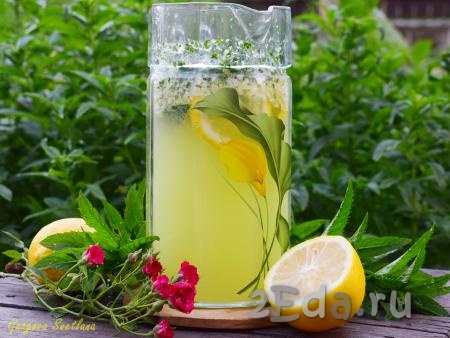 Подаём вкуснейший напиток из мяты и лимона охлажденным, в нём много витаминов и полезных веществ, он великолепно утоляет жажду и получается невероятно бодрящим!