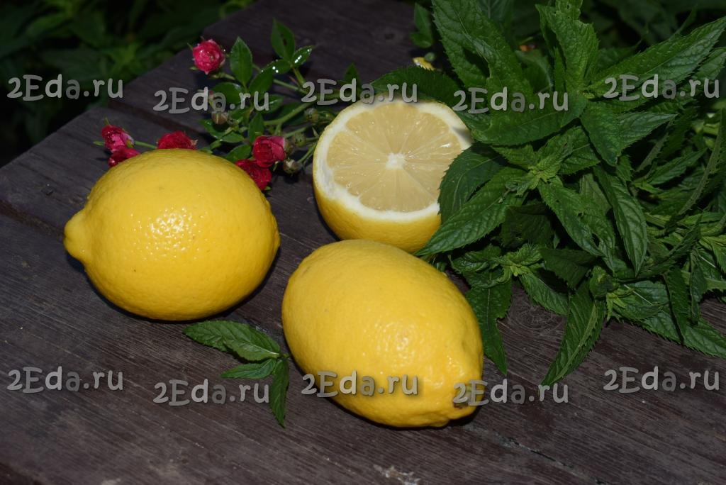 Напиток из лайма и мяты: рецепты домашнего лимонада