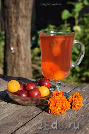 Охлаждённый компот из яблок и алычи разливаем по бокалам и подаём к столу. Летом в жаркую погоду стакан этого напитка прекрасно освежит, порадует приятным вкусом и ароматом.