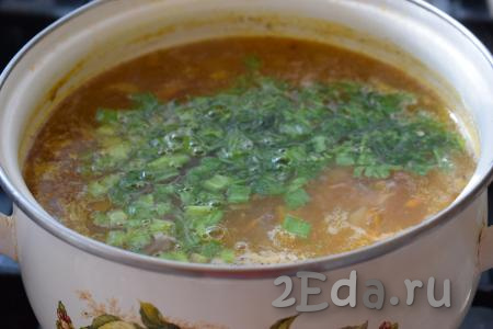 Нарезаем мелко зелень и зелёный лук, кладём в кастрюлю с супом, даём закипеть, выключаем огонь и оставляем настояться под крышкой минут 10-15. Затем разливаем вкуснейший, прозрачный суп из индейки по тарелкам и подаём к столу.