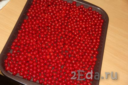 Аккуратно вытянуть полотенце, ягодки перекатятся на поднос и станут полностью сухими. В таком виде поместить поднос с ягодами красной смородины в морозильную камеру.
