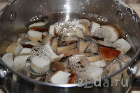 Залить грибы холодной водой и поставить на огонь. Варить с момента закипания 5 минут.