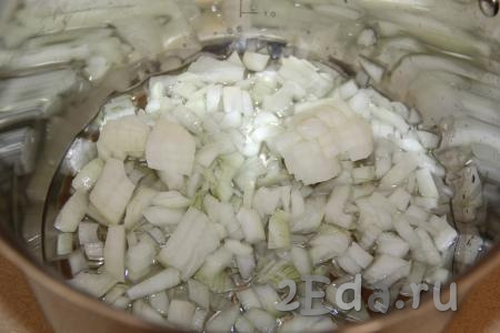 Почистить и мелко нарезать луковицу. В большую кастрюлю с толстым дном влить 100 мл растительного масла, выложить лук и поставить на огонь.