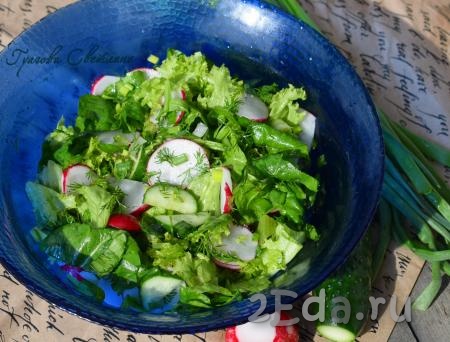 Зеленый салат с редисом