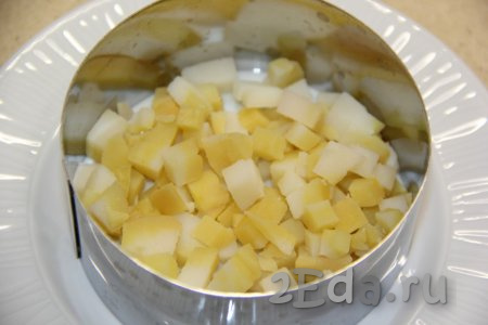 Кольцо для формирования салата выложить на плоскую тарелку. Выложить слой нарезанного картофеля, слегка посолить.