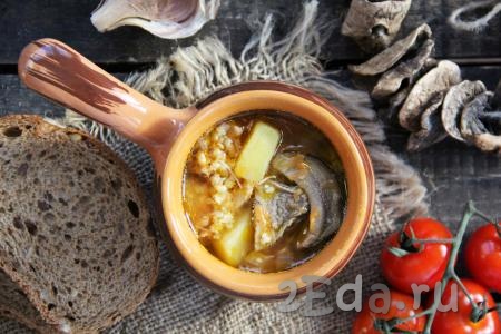 Подать вкусный, сытный, ароматный суп из сушеных грибов с пшеном к столу в горячем виде. Очень солнечный супчик получился.