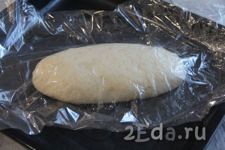 Рукав для запекания внутри смазать растительным маслом. Сформированный хлеб вложить в подготовленный рукав для запекания и переложить на противень. Прикрыть хлеб полотенцем и оставить на 30 минут. 