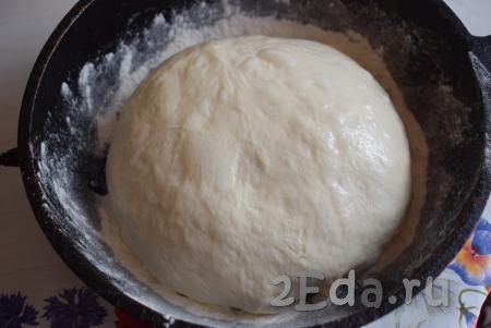 Форму, в которой планируем выпекать хлеб, присыпаем мукой (я для выпечки использую толстостенную сковороду). Кладем в форму обмятое тесто, придав ему округлую форму.