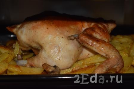 По прошествии 30 минут картофель зарумянится и курочка будет готова (проверить готовность птицы можно, проколов её ножом, - при прокалывании готовой курицы должен выделяться прозрачный сок, без примесей крови).